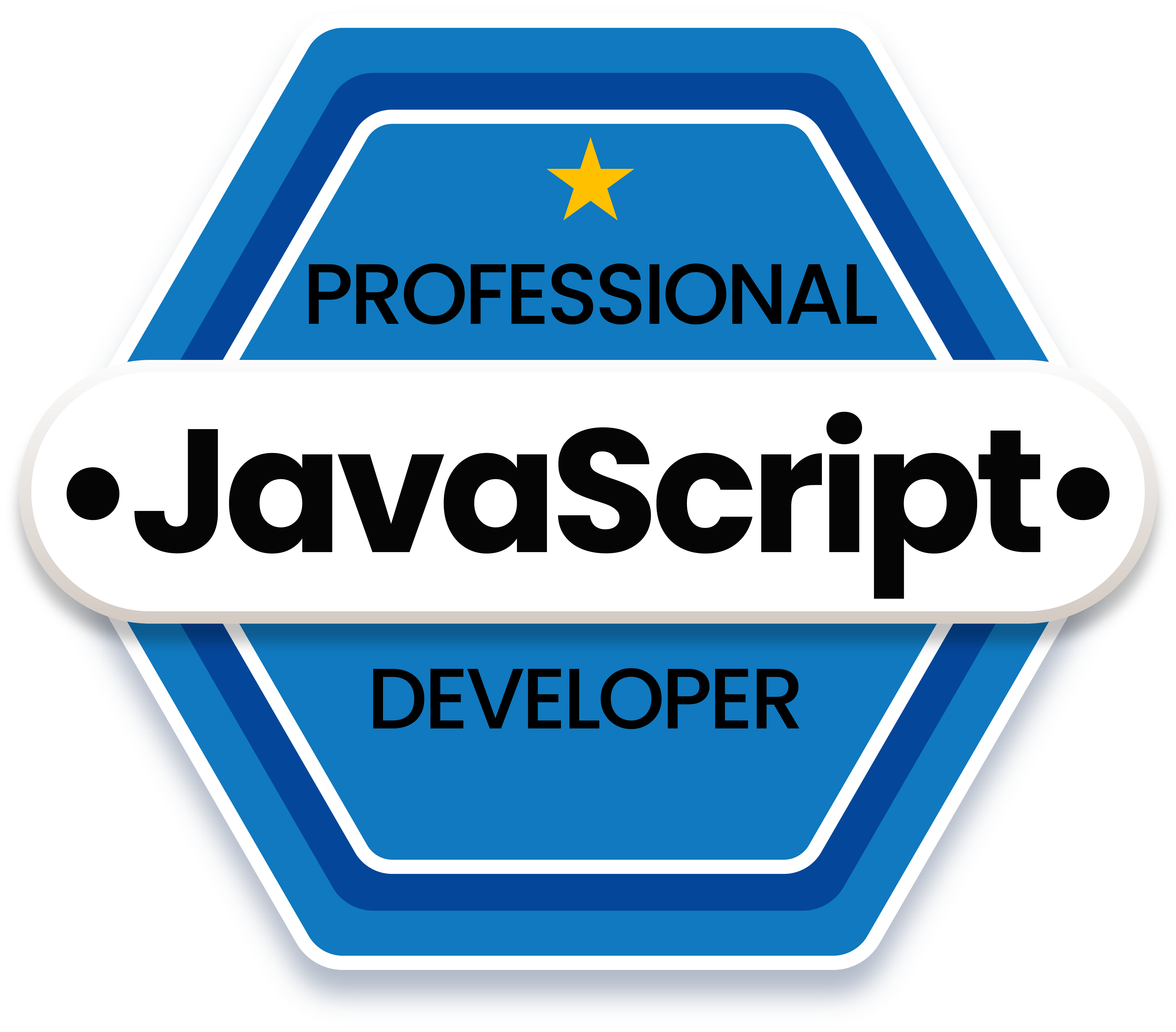 JavaScript Professional Developer